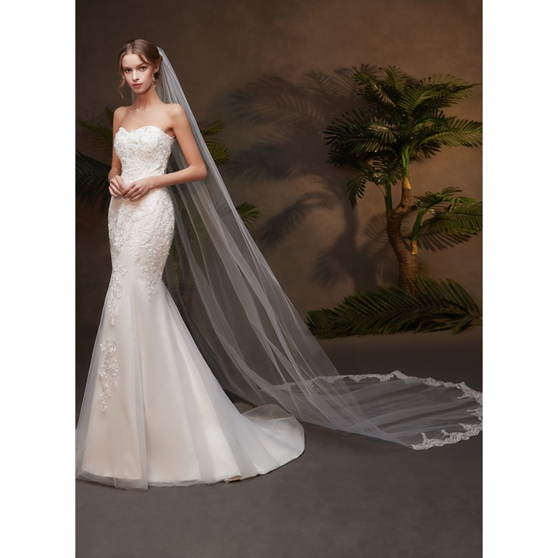 One-tier Lace Applique Edge Cathedral Bridal Veils With Lace